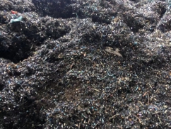 現場實拍（pāi）